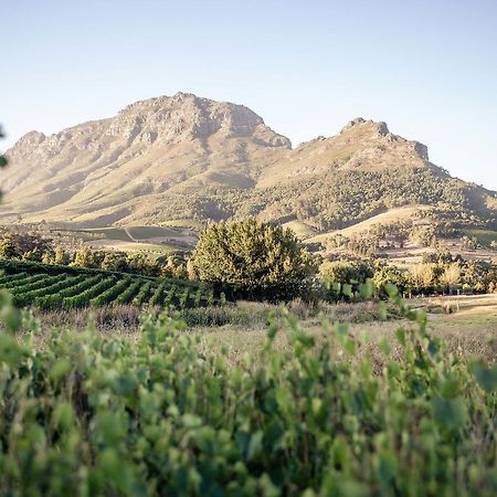 Villa Le Pommier Wine Estate Stellenbosch Exterior foto