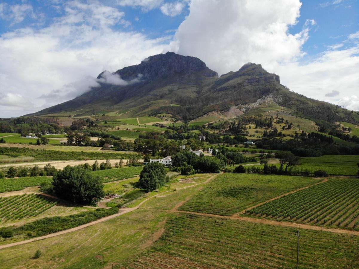 Villa Le Pommier Wine Estate Stellenbosch Exterior foto