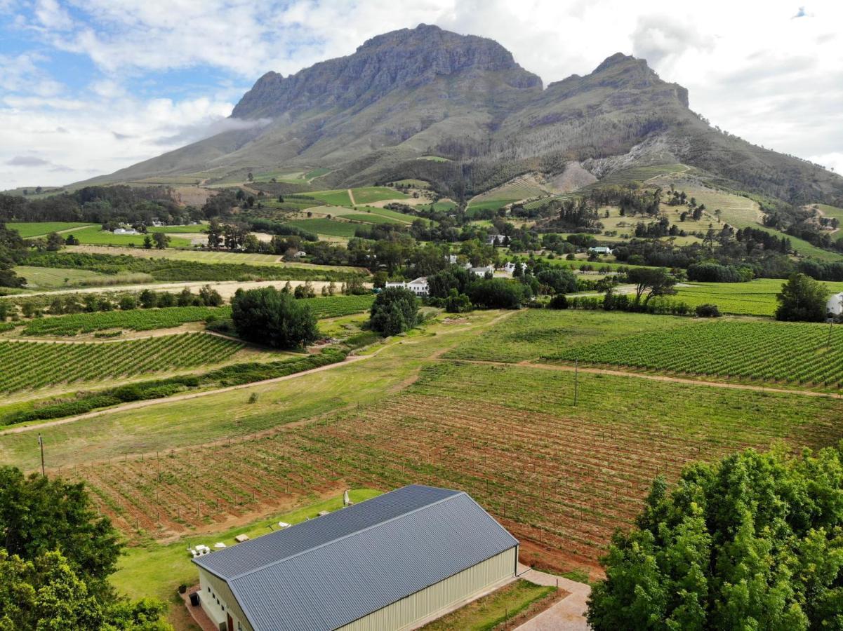Villa Le Pommier Wine Estate Stellenbosch Exterior foto