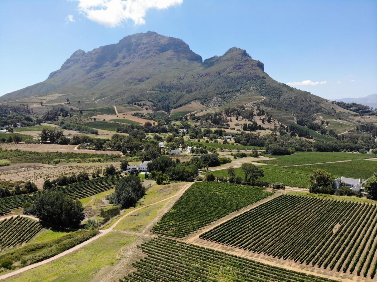 Villa Le Pommier Wine Estate Stellenbosch Exterior foto