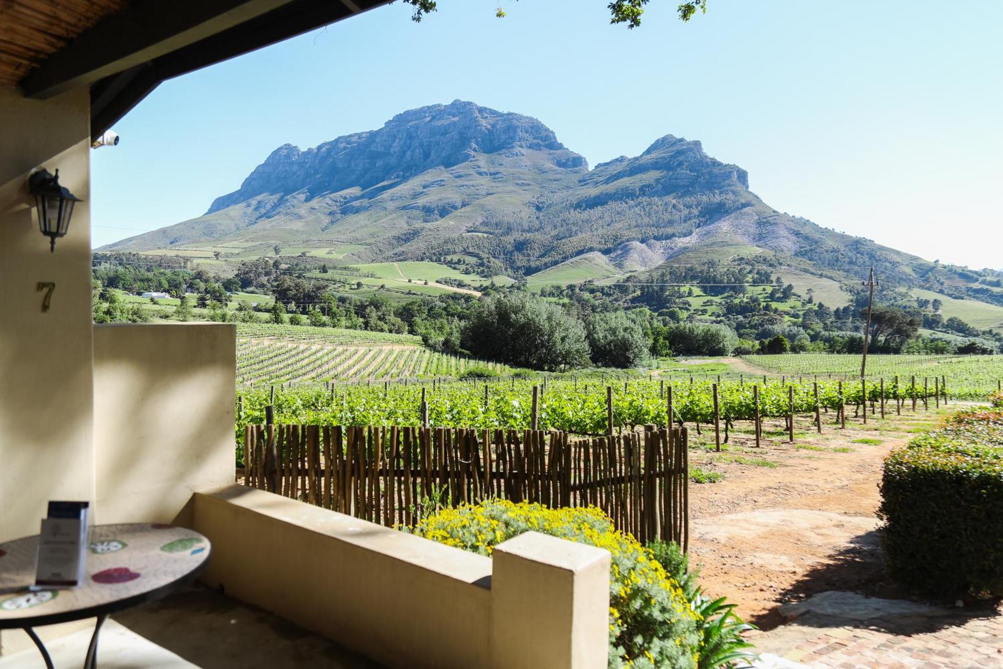 Villa Le Pommier Wine Estate Stellenbosch Exterior foto