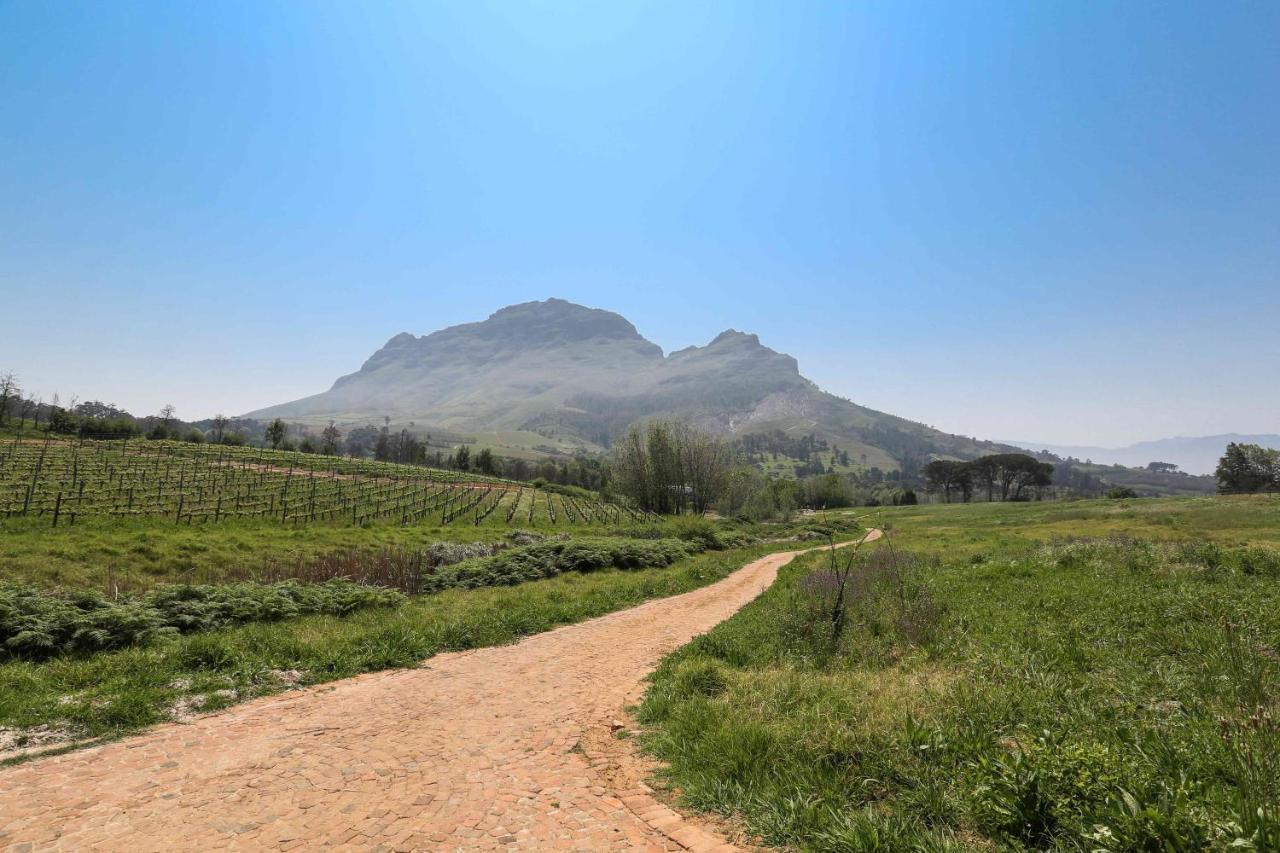 Villa Le Pommier Wine Estate Stellenbosch Exterior foto